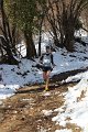 trail delle fontane 091